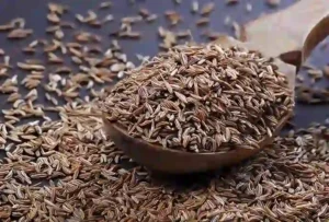 Best CUMIN Seed Supplier