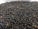 Best Supplier of Black Pepper