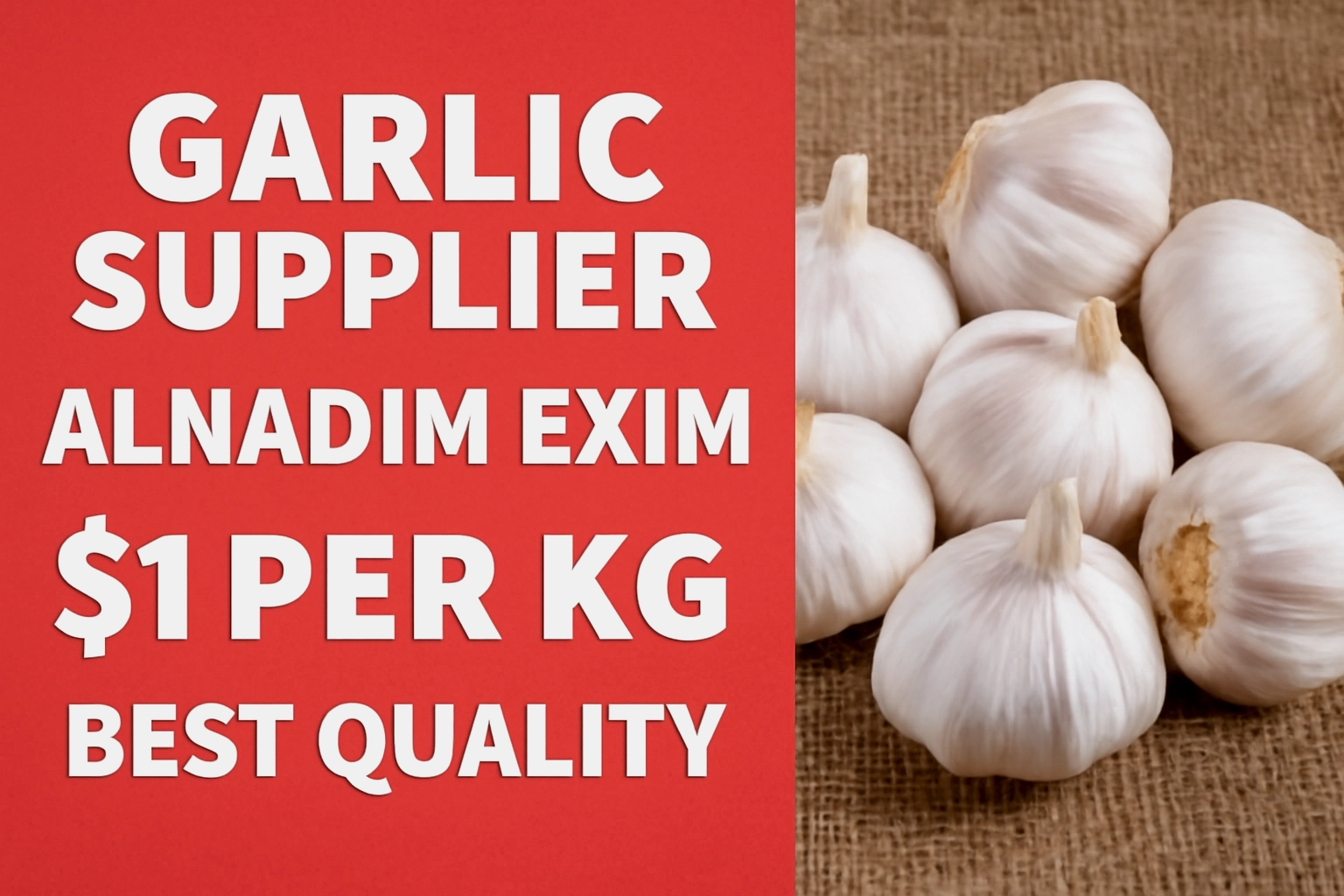 BEST GARLIC SUPPLIER ALNADIM EXIM